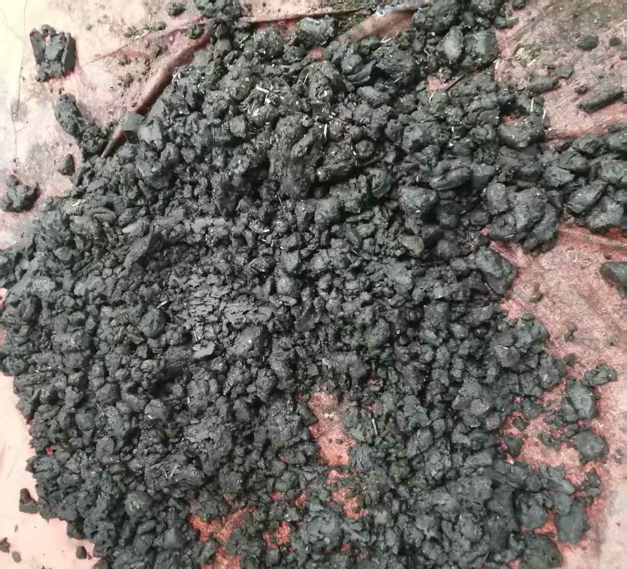 污泥原料
